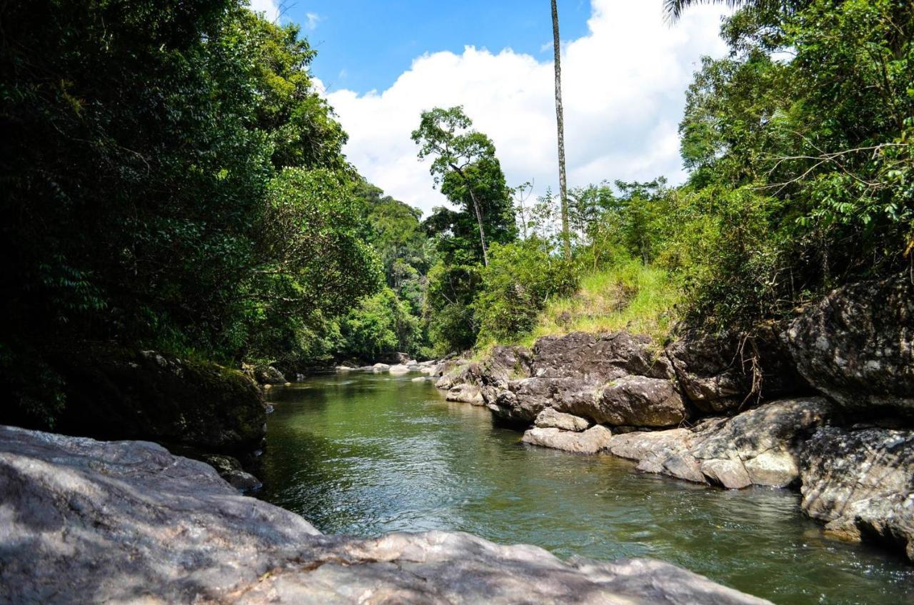 Sitio Flor Das Aguas ルミアル エクステリア 写真